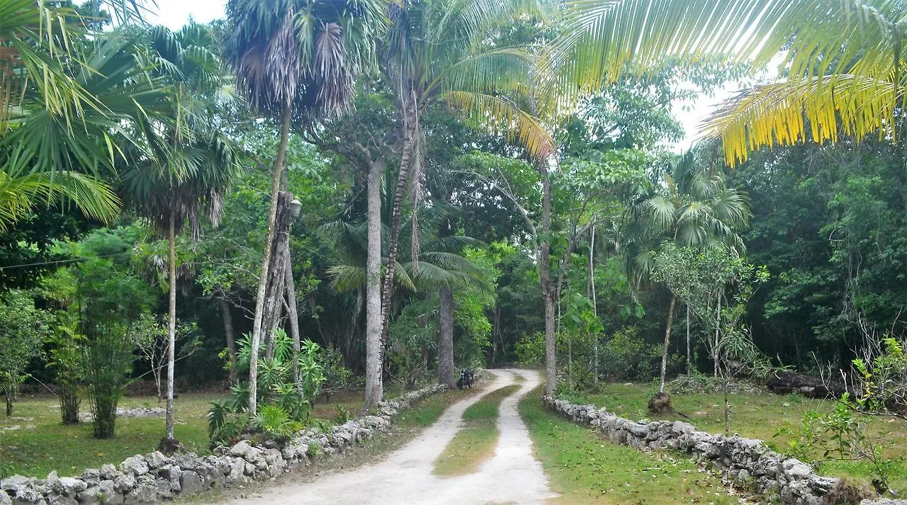 Drop By Nature Hotel Ruta De Los Cenotes Puerto Morelos Mexico
