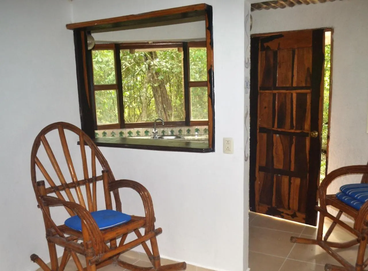 Drop By Nature Hotel Ruta De Los Cenotes Puerto Morelos Mexico