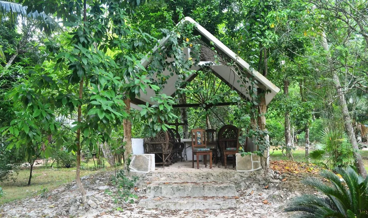 Drop By Nature Hotel Ruta De Los Cenotes Puerto Morelos Jaktstuga