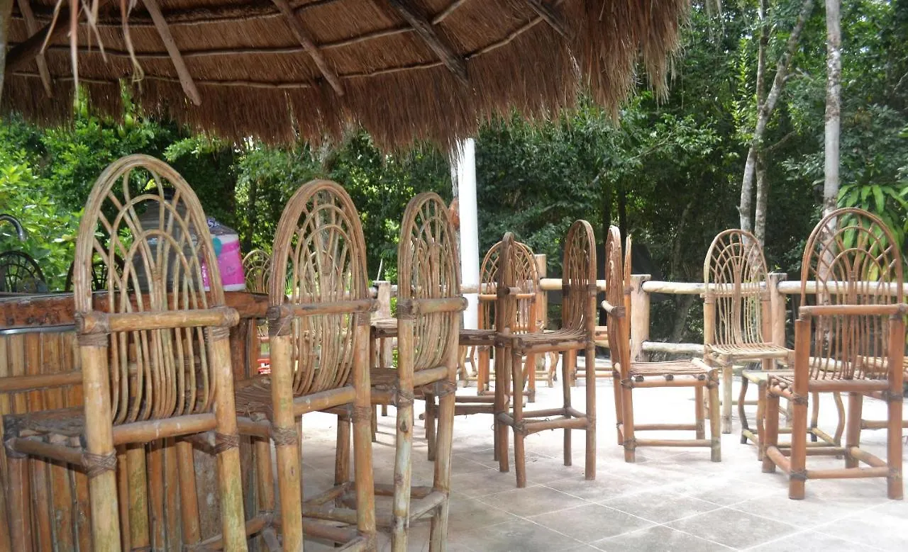 Drop By Nature Hotel Ruta De Los Cenotes Puerto Morelos Jaktstuga