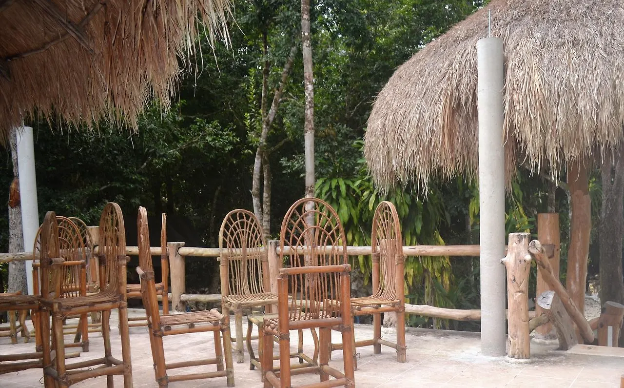 Drop By Nature Hotel Ruta De Los Cenotes Puerto Morelos Mexiko